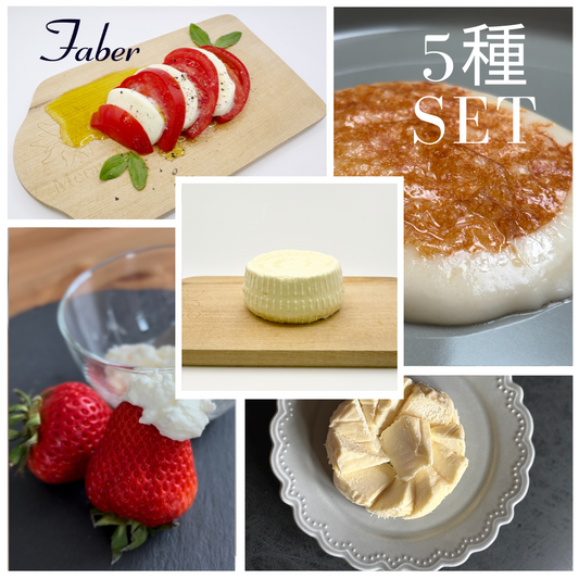 ファーベル5種セット (9月下旬発送予定)